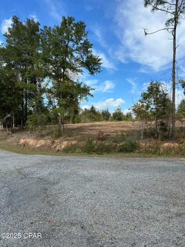 $64,900 | Lot 1-2 Lakeshore Drive, Alford, FL 32420