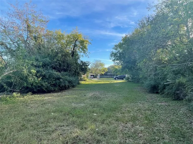 a view of outdoor space with trees all around