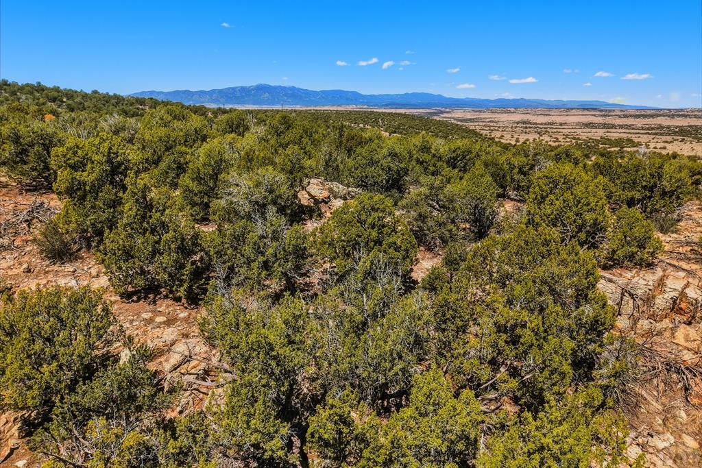 801 Turkey Rdg Road East Walsenburg, CO 81089 - Photo 59 of 65