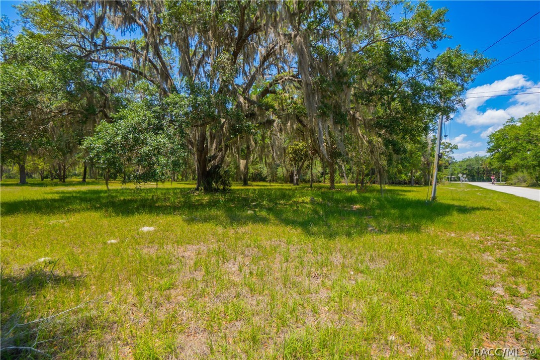 20 Cove Road Inglis, FL 34449 - Photo 3 of 18