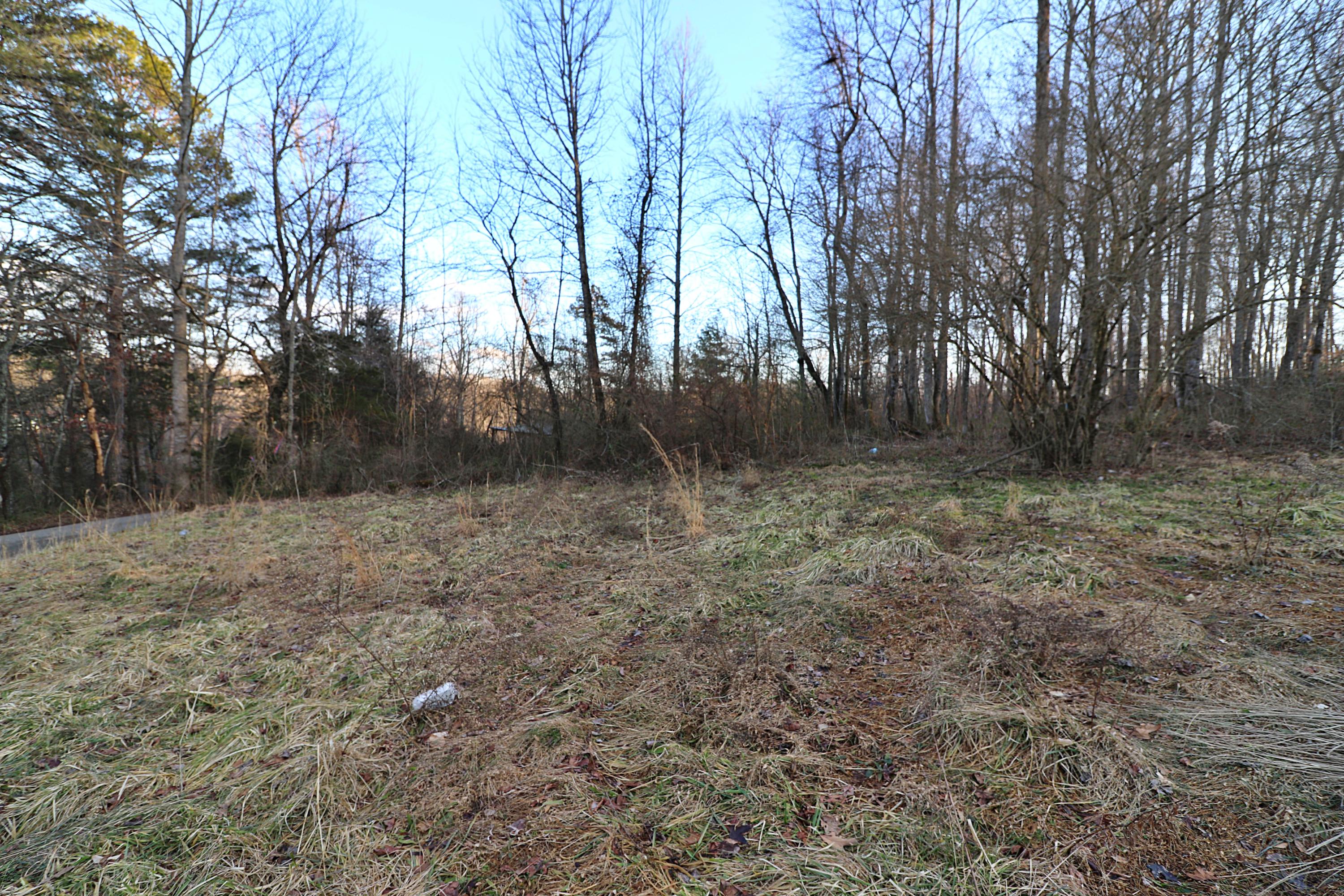 894-918 Concord Road Robbins, TN 37852 - Photo 17 of 29 094A3458