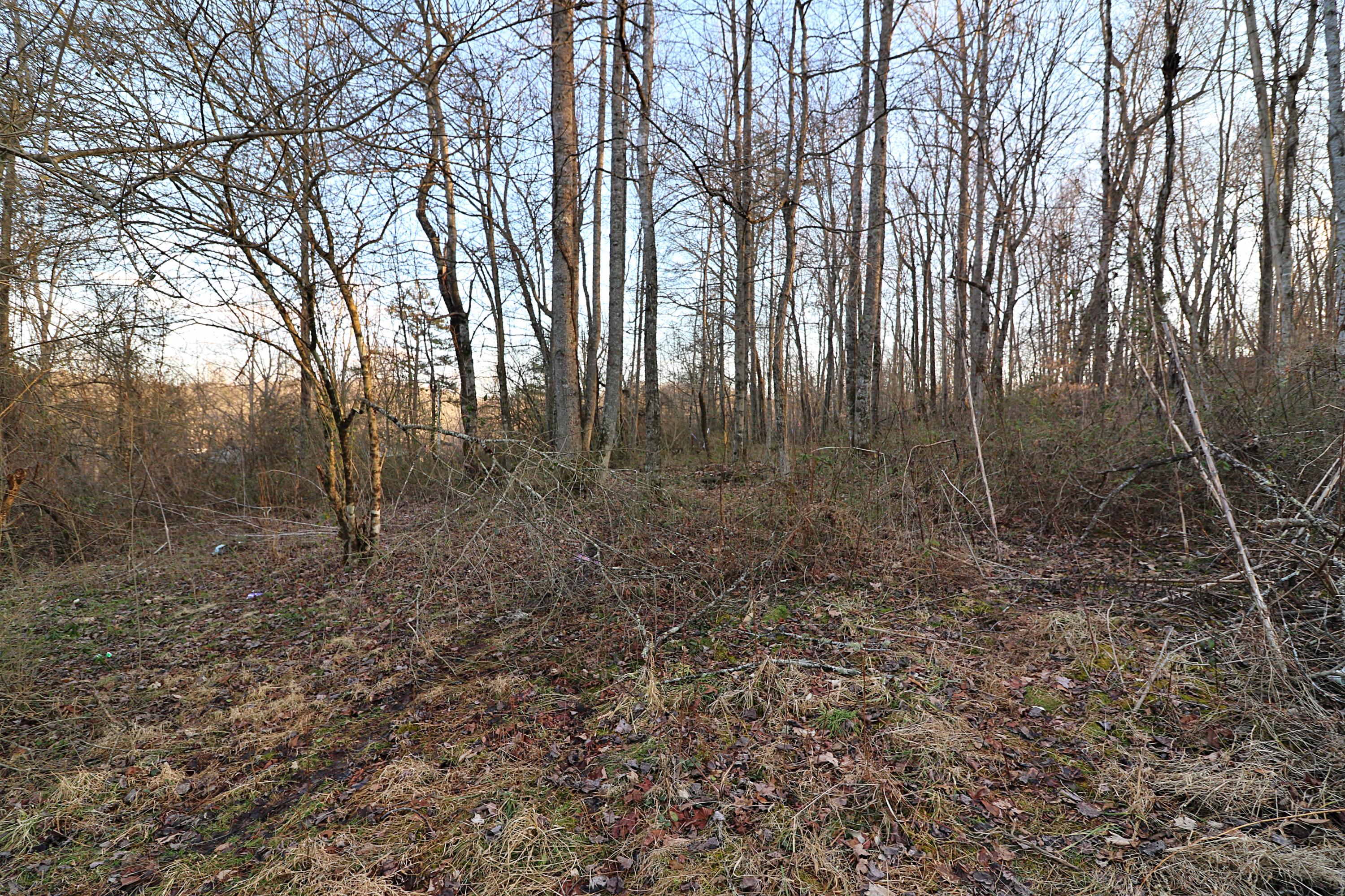 894-918 Concord Road Robbins, TN 37852 - Photo 18 of 29 094A3461