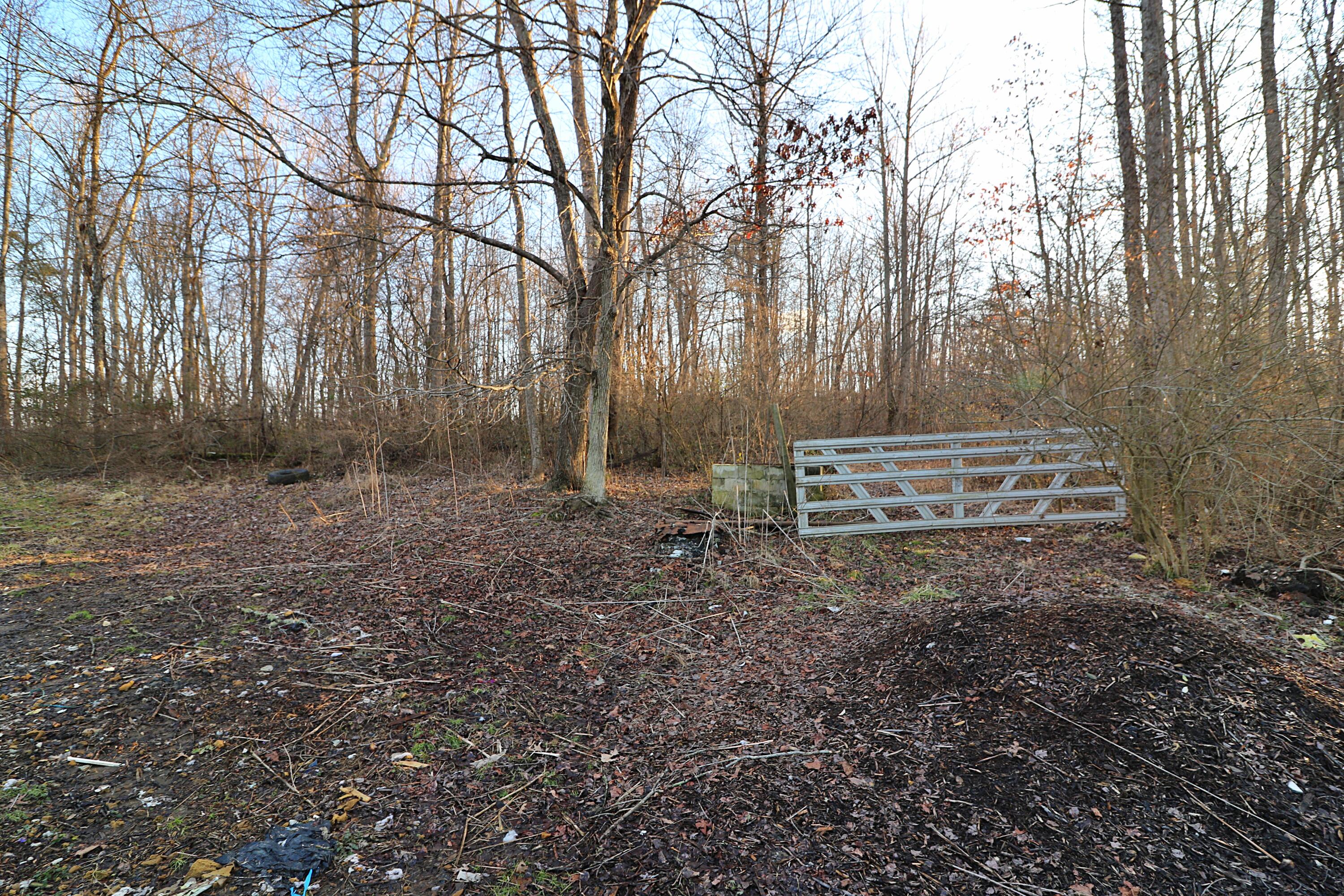 894-918 Concord Road Robbins, TN 37852 - Photo 23 of 29 094A3463