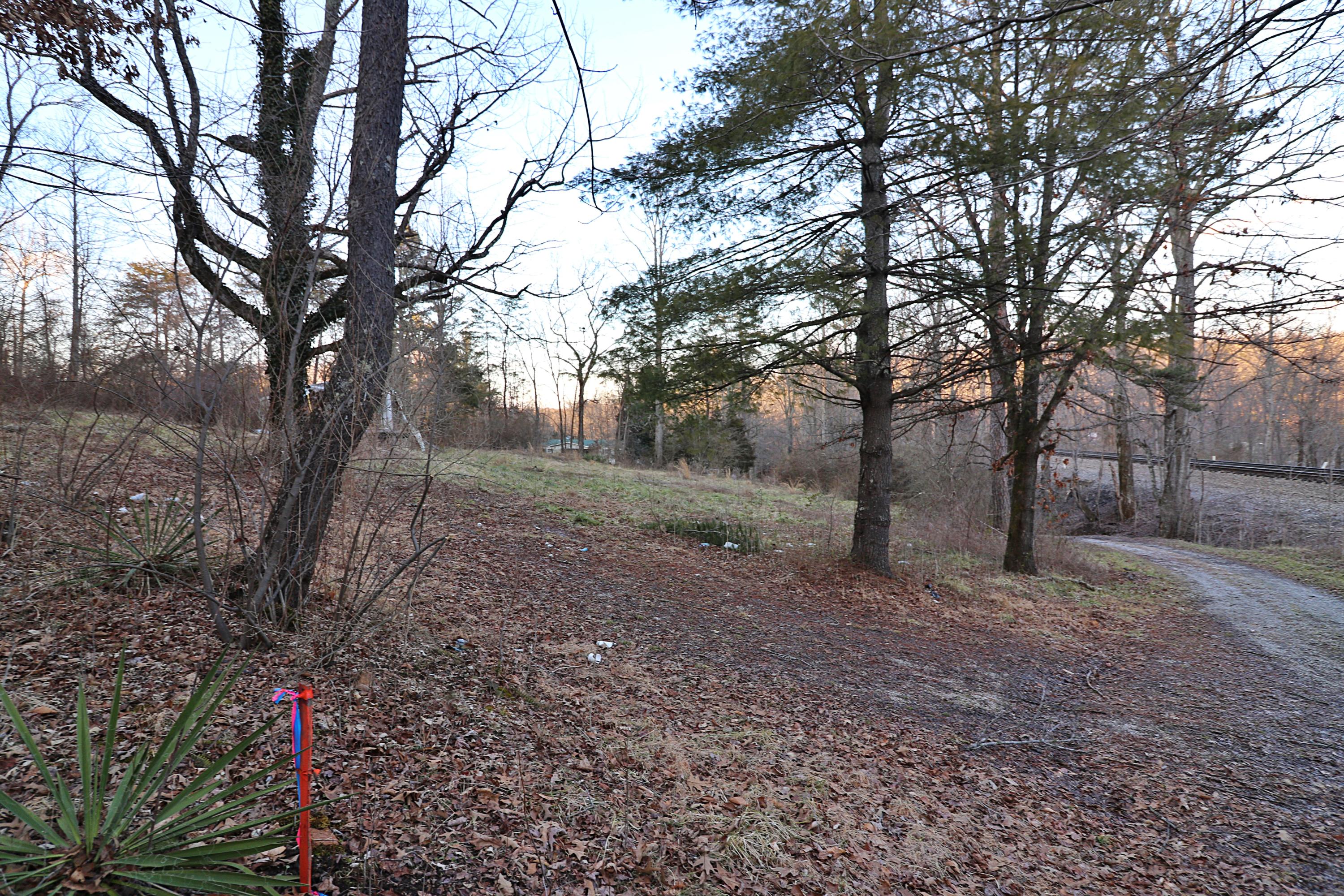 894-918 Concord Road Robbins, TN 37852 - Photo 25 of 29 094A3484