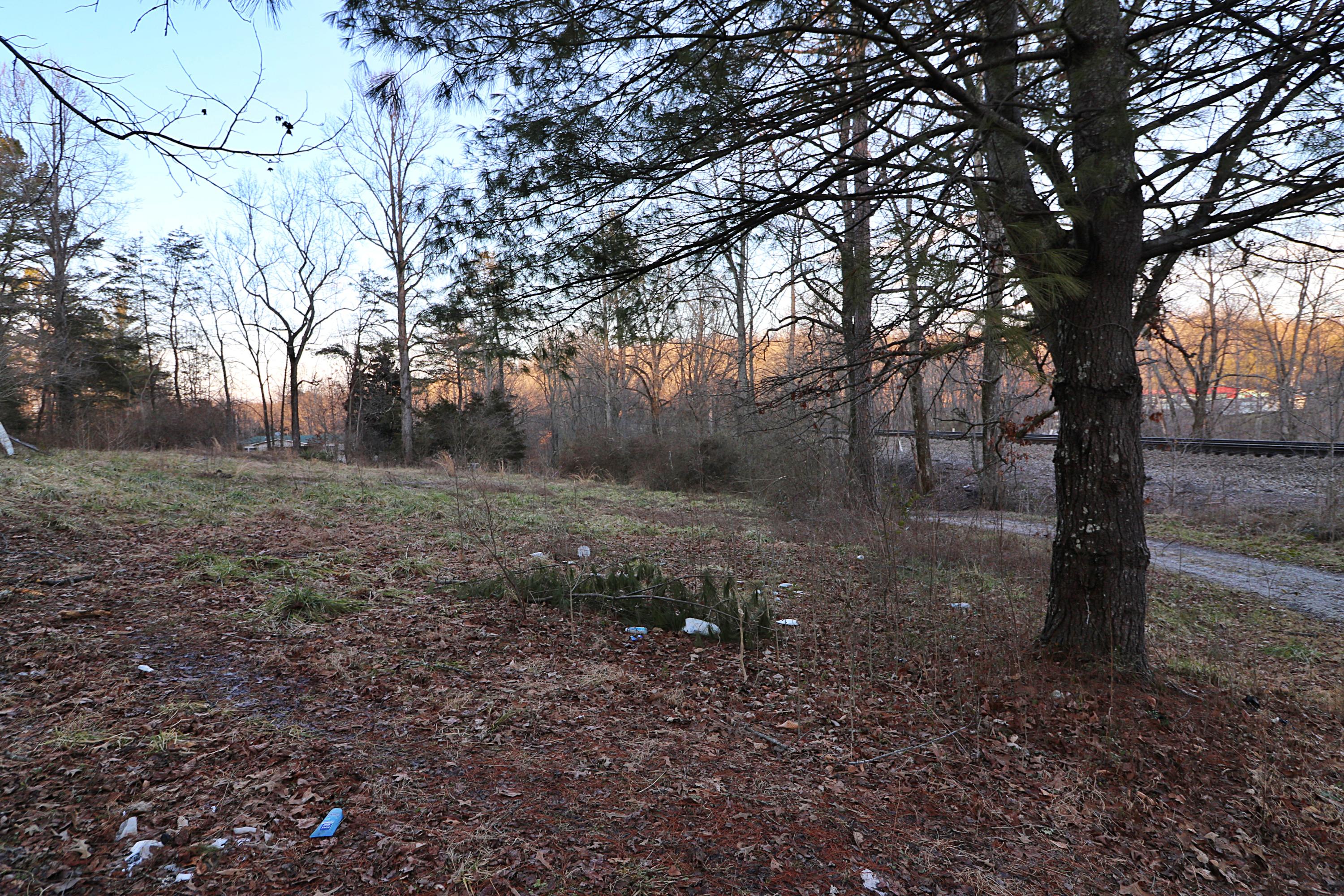 894-918 Concord Road Robbins, TN 37852 - Photo 26 of 29 094A3486