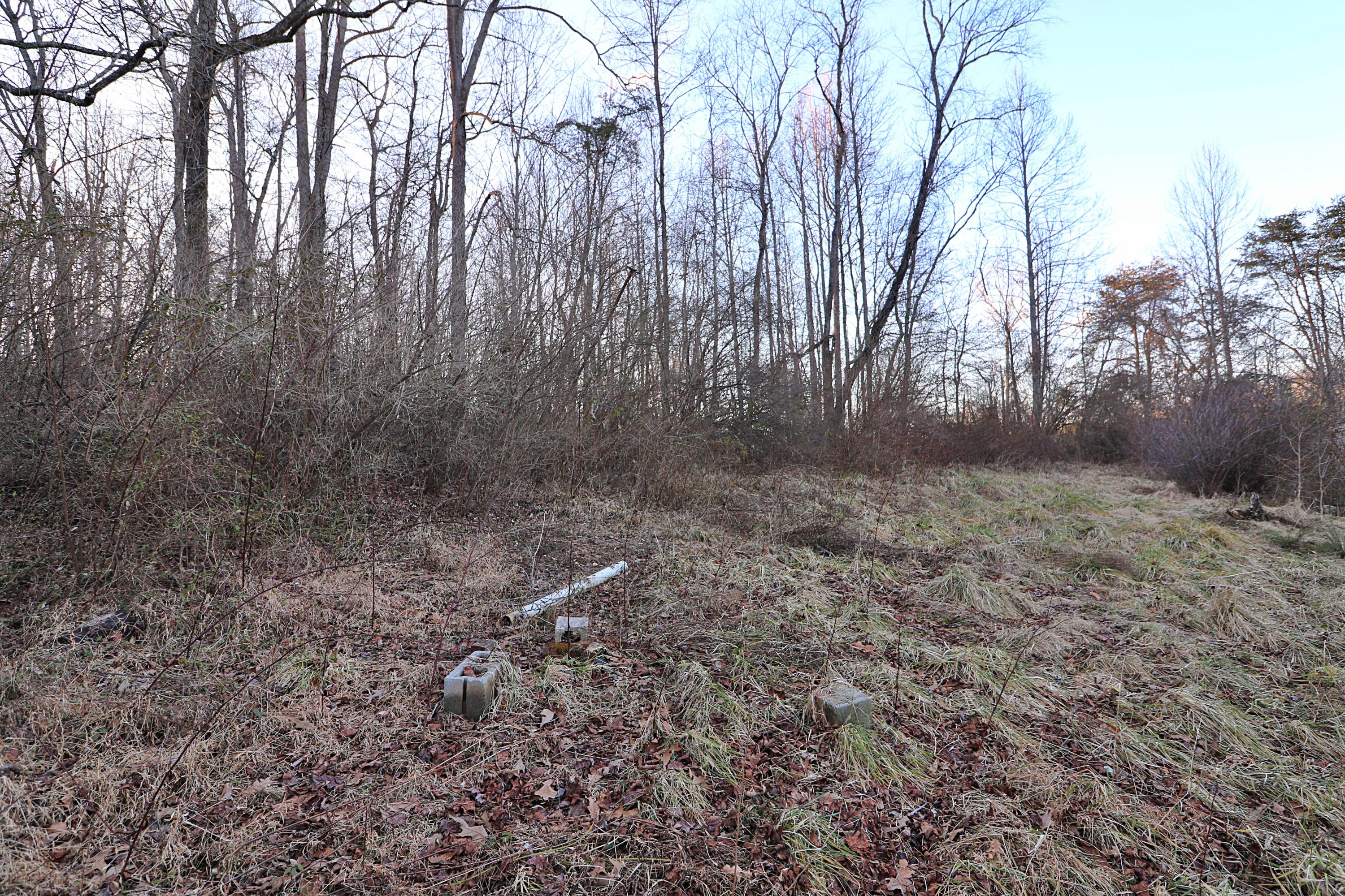 894-918 Concord Road Robbins, TN 37852 - Photo 28 of 29 094A3489