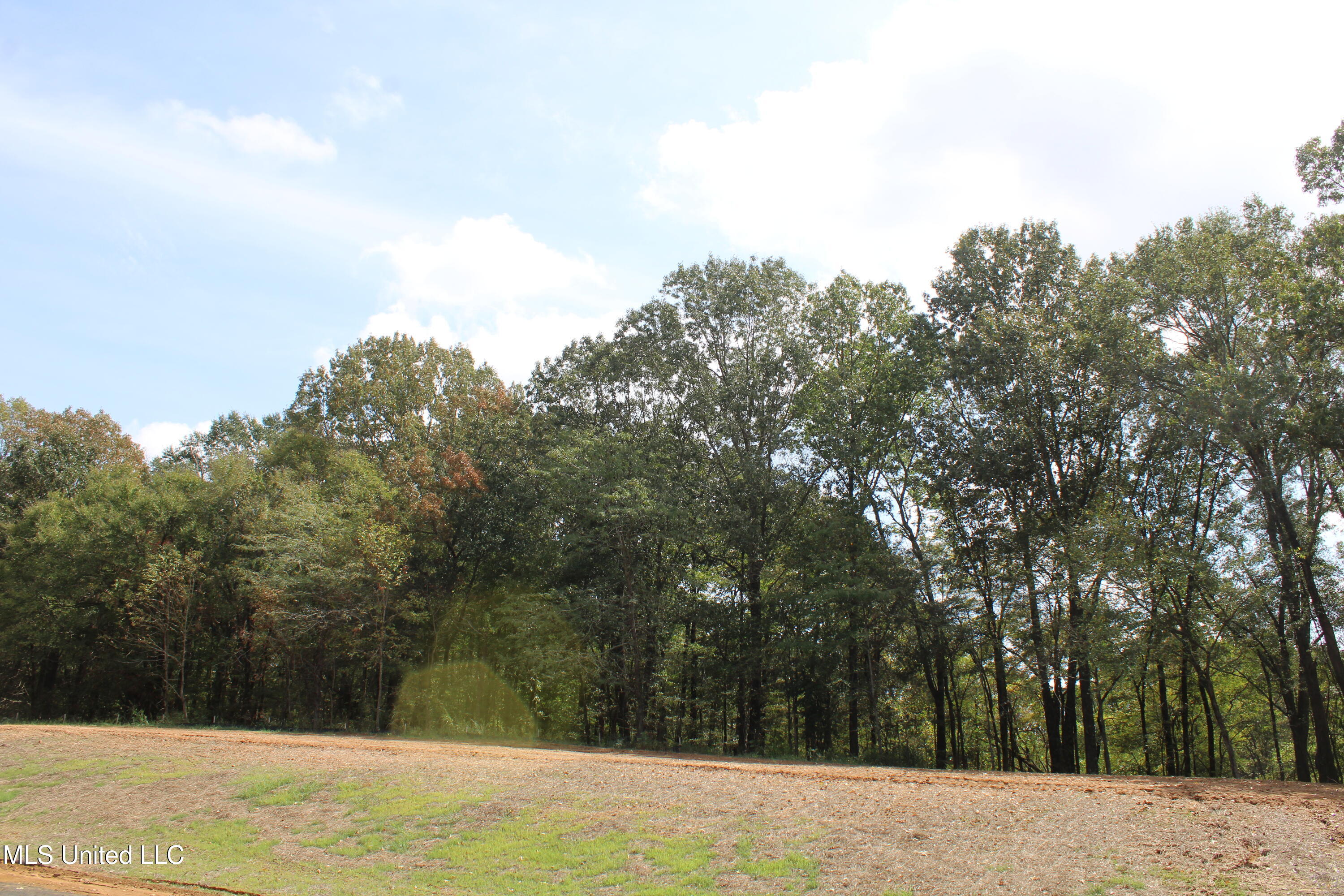 21 Hickory Hollow Road Coldwater, MS 38618 - Photo 9 of 70 IMG_6565