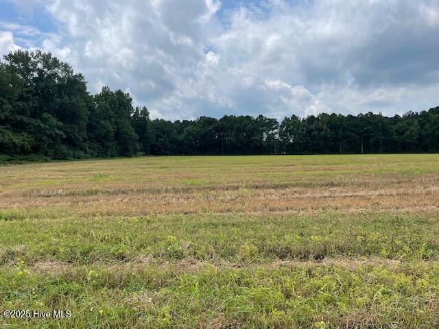 0 Fire Tower Road Rose Hill, NC 28458 - Photo 12 of 13 Cottle Lane 4