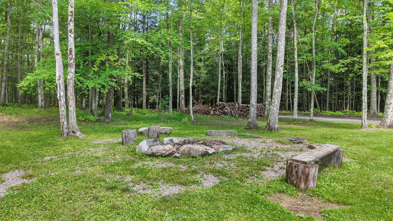 407 Worrick Pond Road Vestal, PA 13850 - Photo 49 of 50