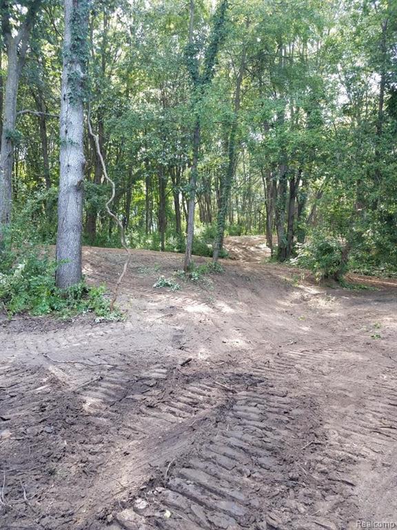 Vacant Land Reason Road Pinckney, MI 48169 - Photo 2 of 6