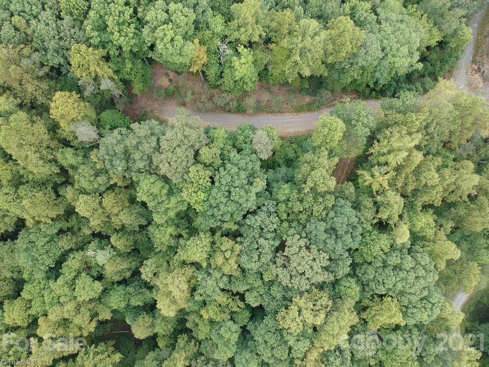 18 Conner Lane Boone, NC 28607 - Photo 13 of 20 Gallery Image 13