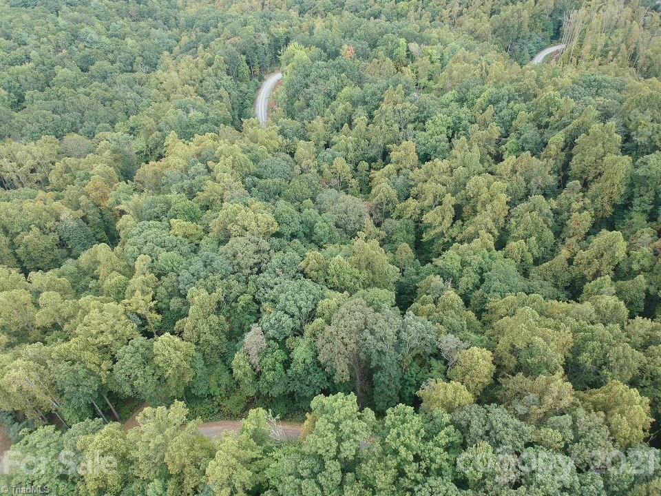 18 Conner Lane Boone, NC 28607 - Photo 16 of 20 Gallery Image 16