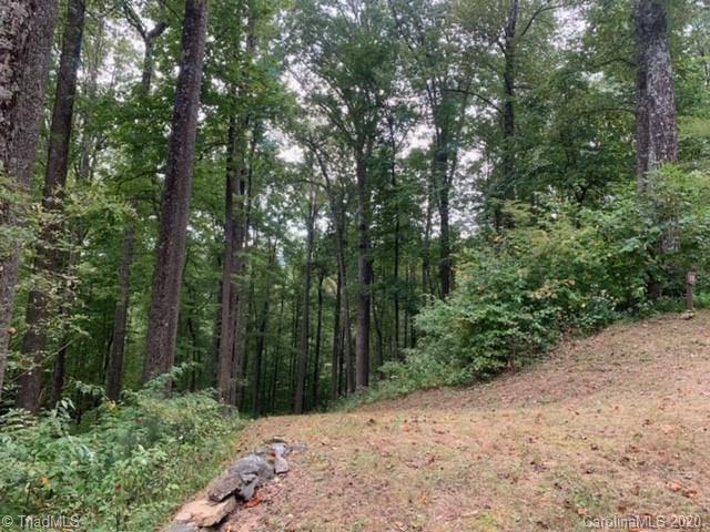 18 Conner Lane Boone, NC 28607 - Photo 3 of 20 Gallery Image 3