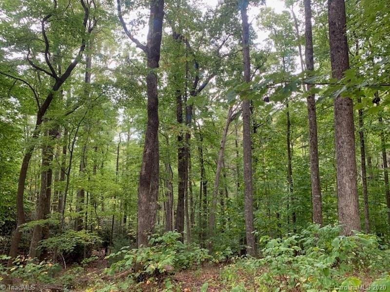18 Conner Lane Boone, NC 28607 - Photo 10 of 20 Gallery Image 10