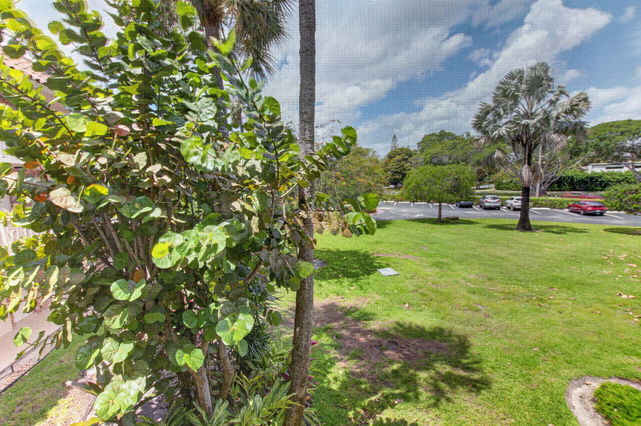 400 Northeast 20th Street, Unit A205 Boca Raton, FL 33431 - Photo 29 of 42 29-web-or-mls-DSC_5989