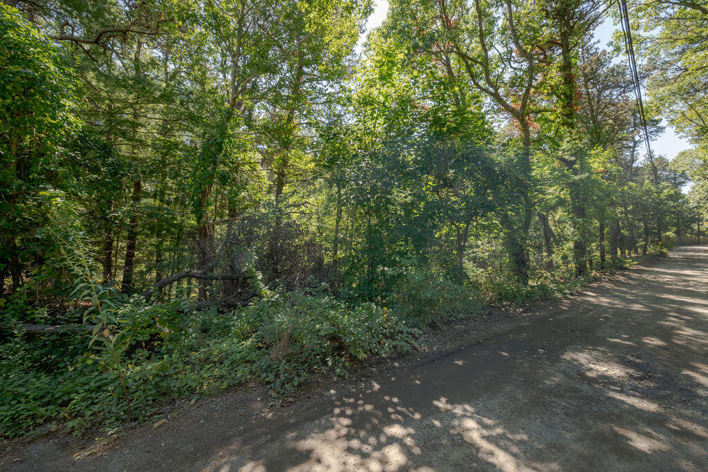 40 Old Long Pond Road Wellfleet, MA 02667 - Photo 4 of 13 40_Old_Long_Pond1-12