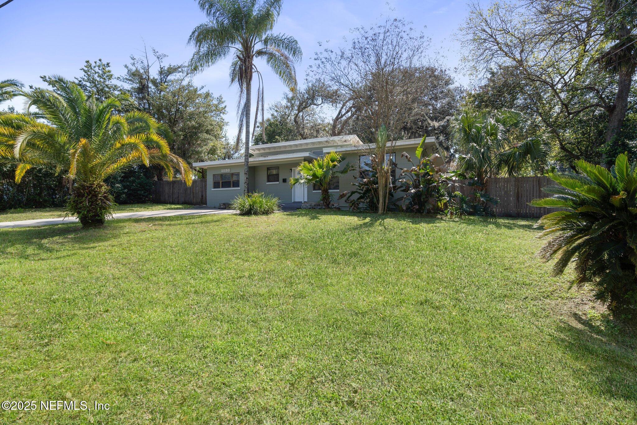 2838 Rainbow Road Jacksonville, FL 32217 - Photo 3 of 35 a view of a house with a yard and palm trees