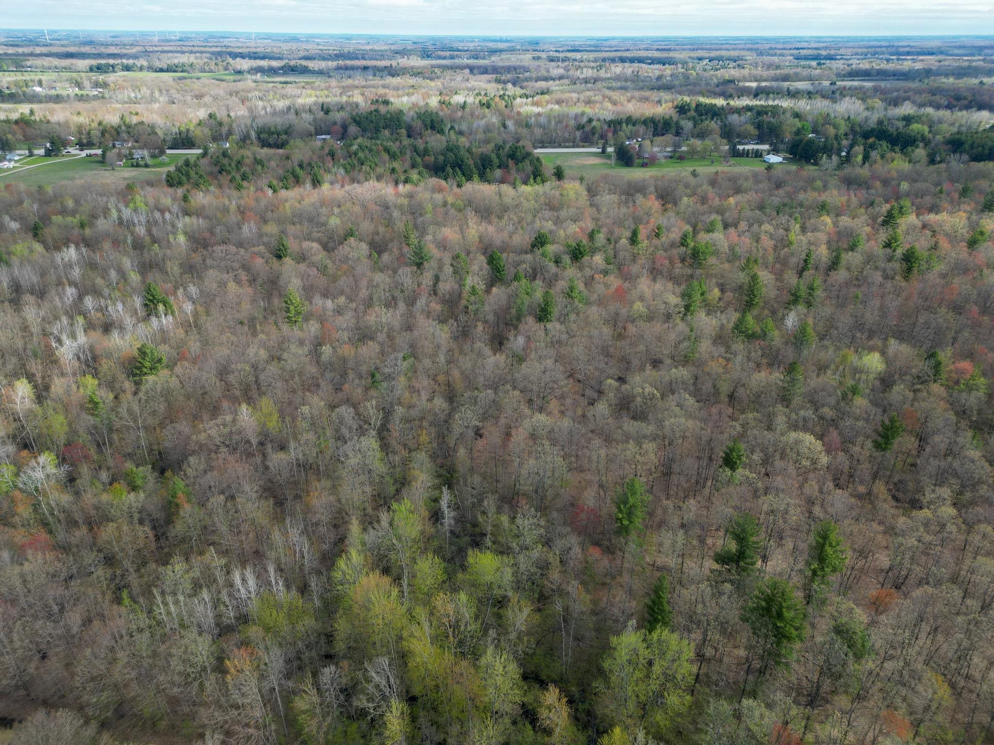8670 East Pickard Road Mount Pleasant, MI 48858 - Photo 41 of 45