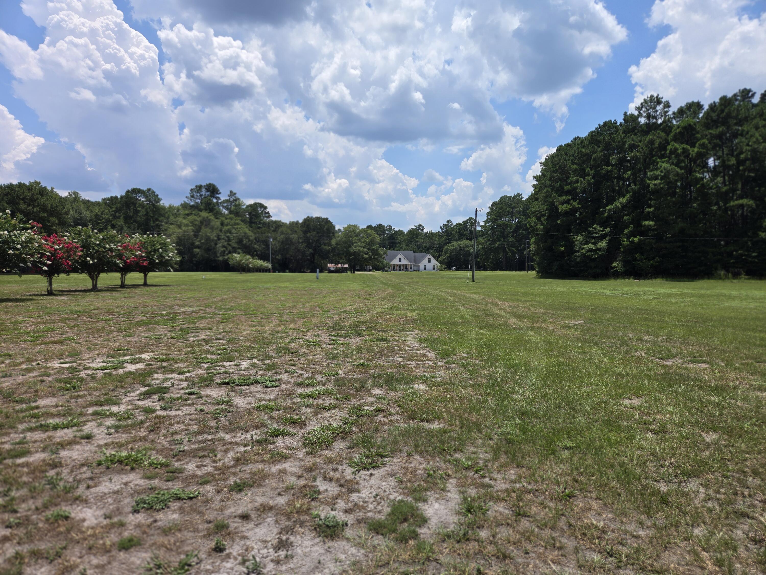 964 Wire Road Dorchester, SC 29437 - Photo 3 of 4 964 Wire Rd From Rear