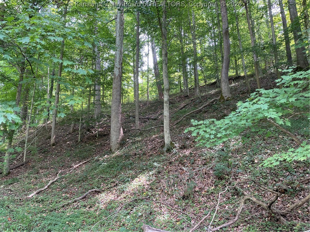 3254 3 Lick Road Orlando, WV 26412 - Photo 40 of 46 Gallery Image 40