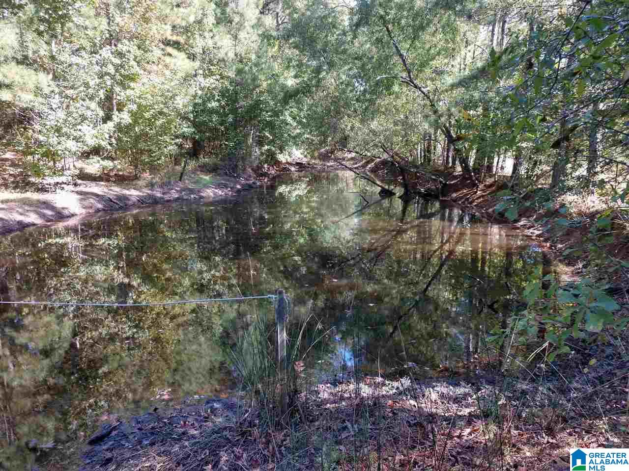 5403 County Road 41 Clanton, AL 35046 - Photo 12 of 12