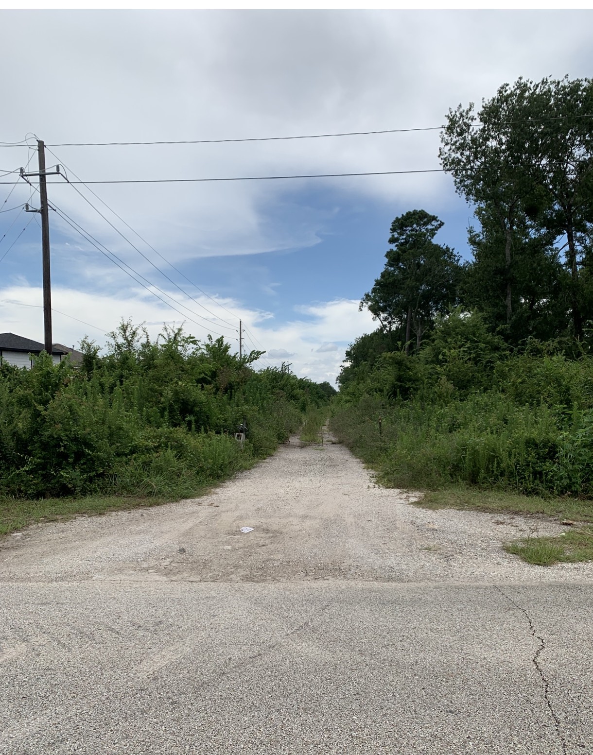 21307 Lee Roads Houston, TX 77032 - Photo 3 of 6 a view of a road with a yard