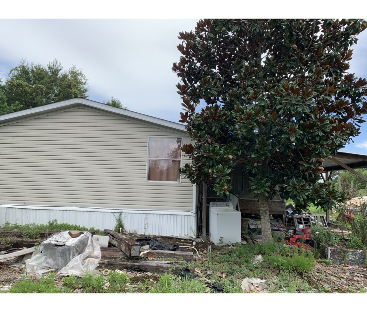 21307 Lee Roads Houston, TX 77032 - Photo 4 of 6