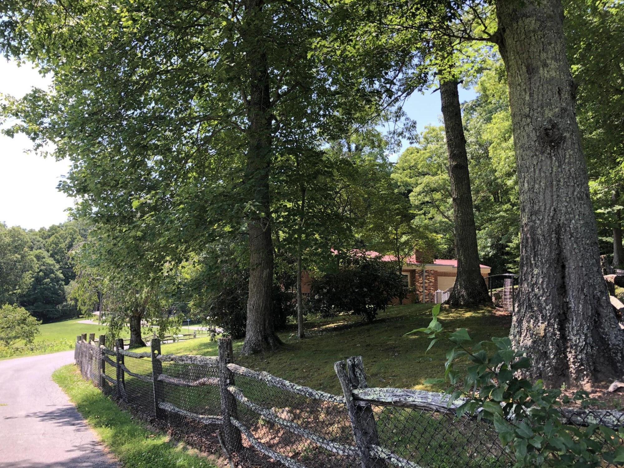 136 Jackson Road Unicoi, TN 37692 - Photo 17 of 57 C1B2C768-7BB3-4E33-9F7A-241A1D6CA3FF