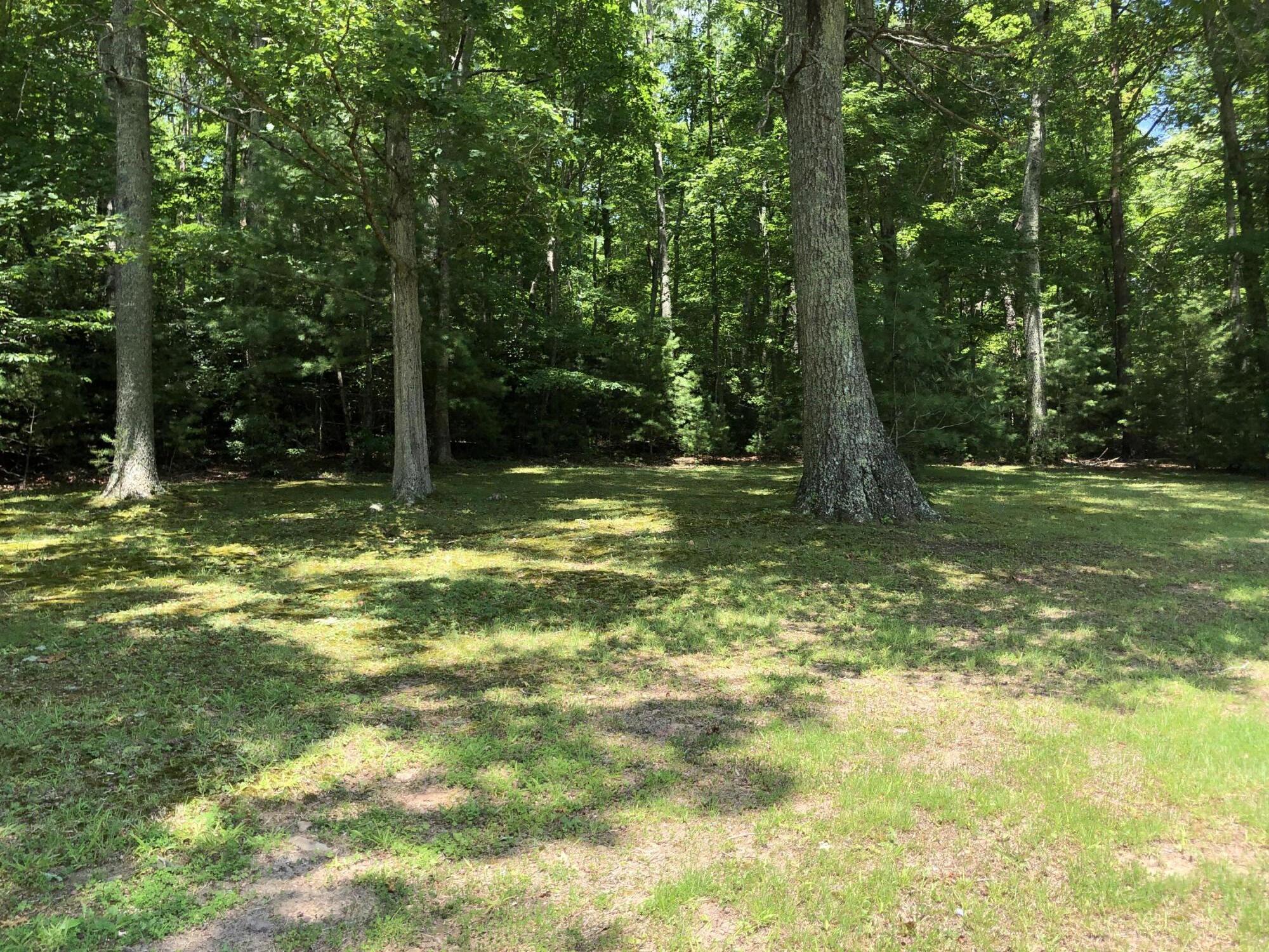 136 Jackson Road Unicoi, TN 37692 - Photo 26 of 57 576D570B-8C73-4B41-BFDC-E0C5753DCDD6