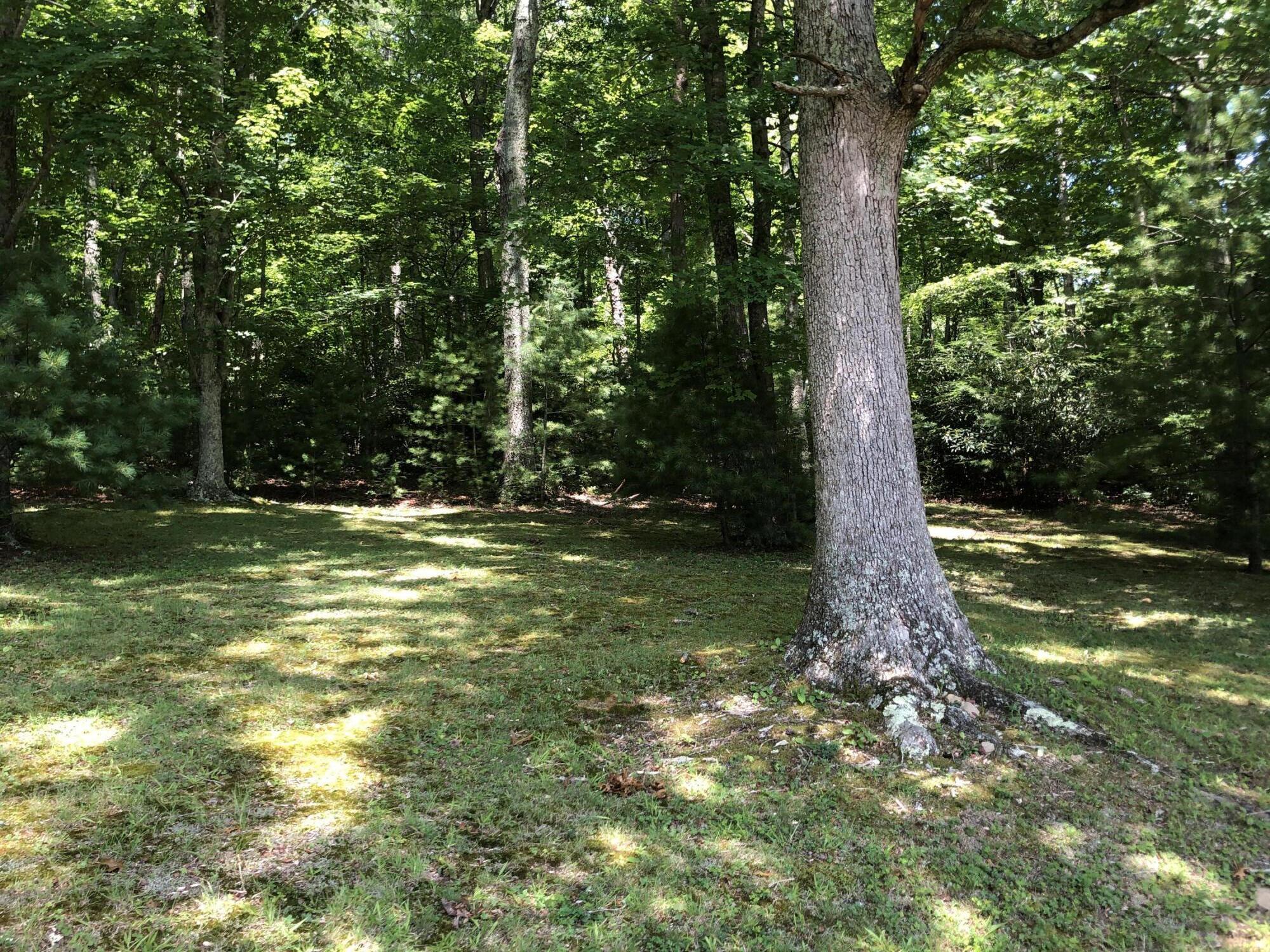 136 Jackson Road Unicoi, TN 37692 - Photo 27 of 57 45DD3DF4-7F0F-4B2D-B5BA-74B85FDC912C