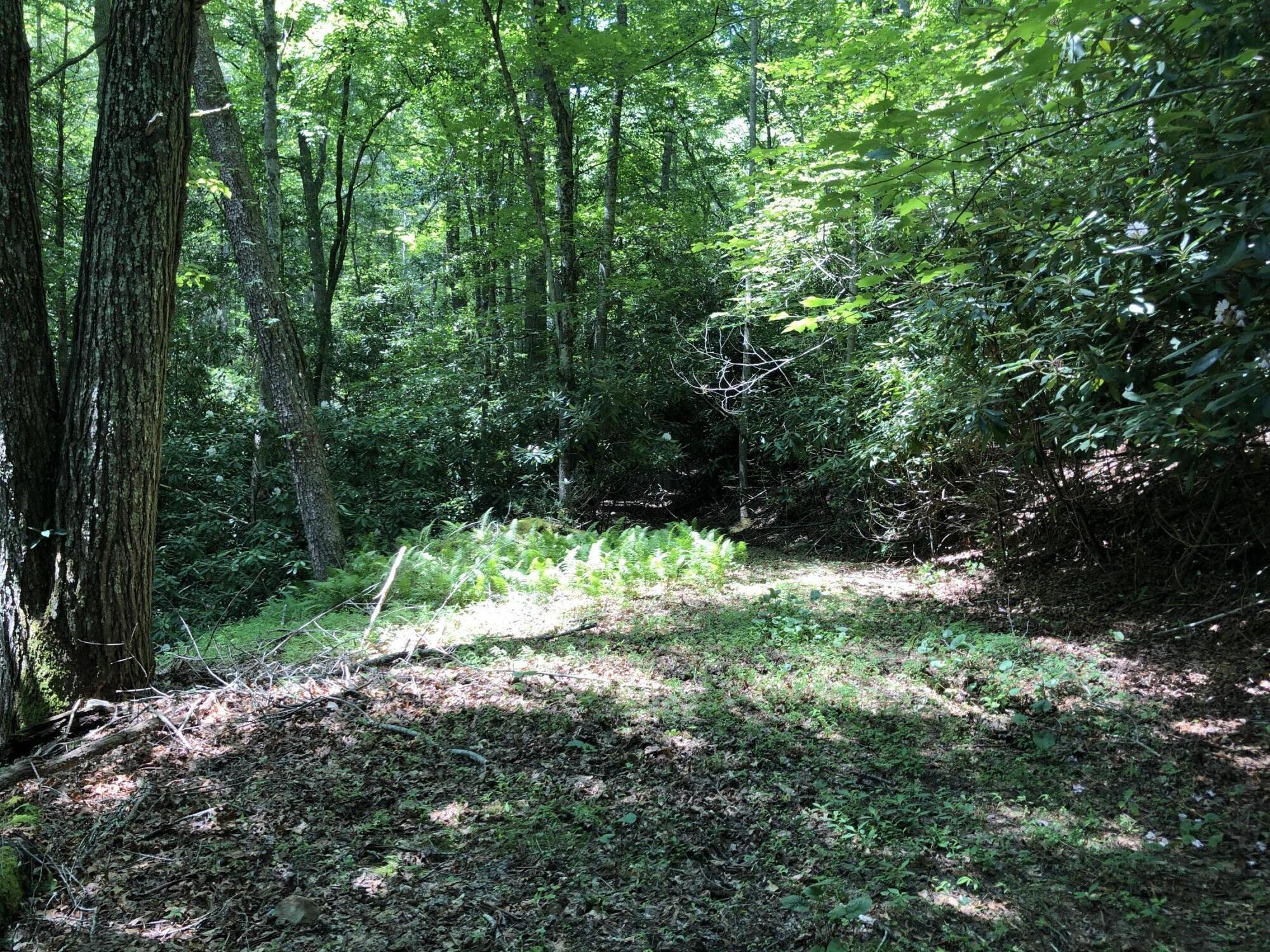 136 Jackson Road Unicoi, TN 37692 - Photo 28 of 57 205A9ACC-159B-46D0-9CD5-D2A5FE43C5A7