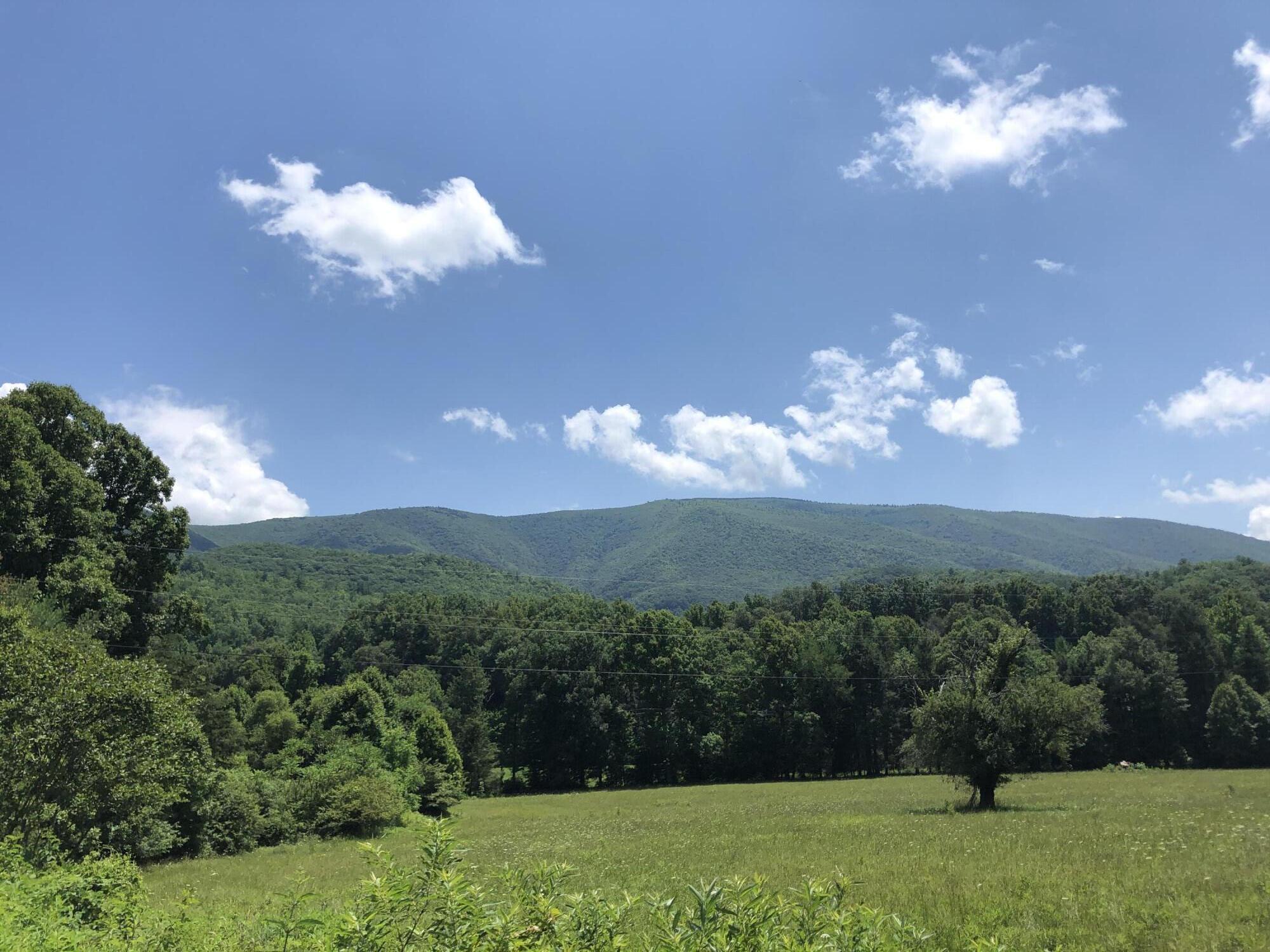 136 Jackson Road Unicoi, TN 37692 - Photo 9 of 57 64B6C478-AEAB-4194-8FF4-AD44FC877C11