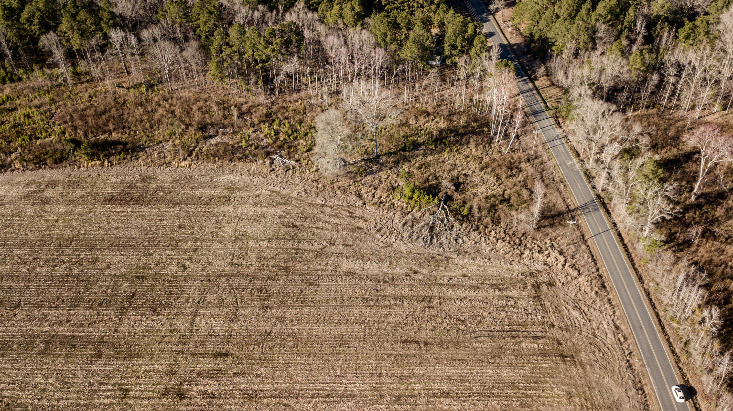 1362 B Carter Road Ridgeville, SC 29472 - Photo 24 of 28 44