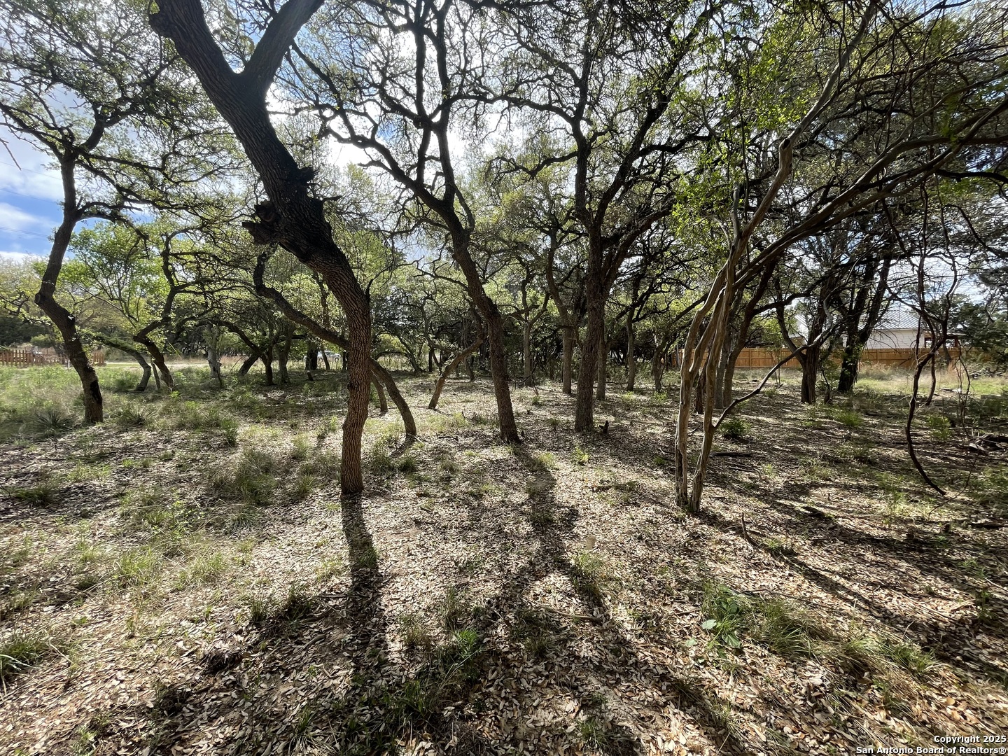 157 Hillside Road Bandera, TX 78003 - Photo 11 of 27 a view of some trees in a forest