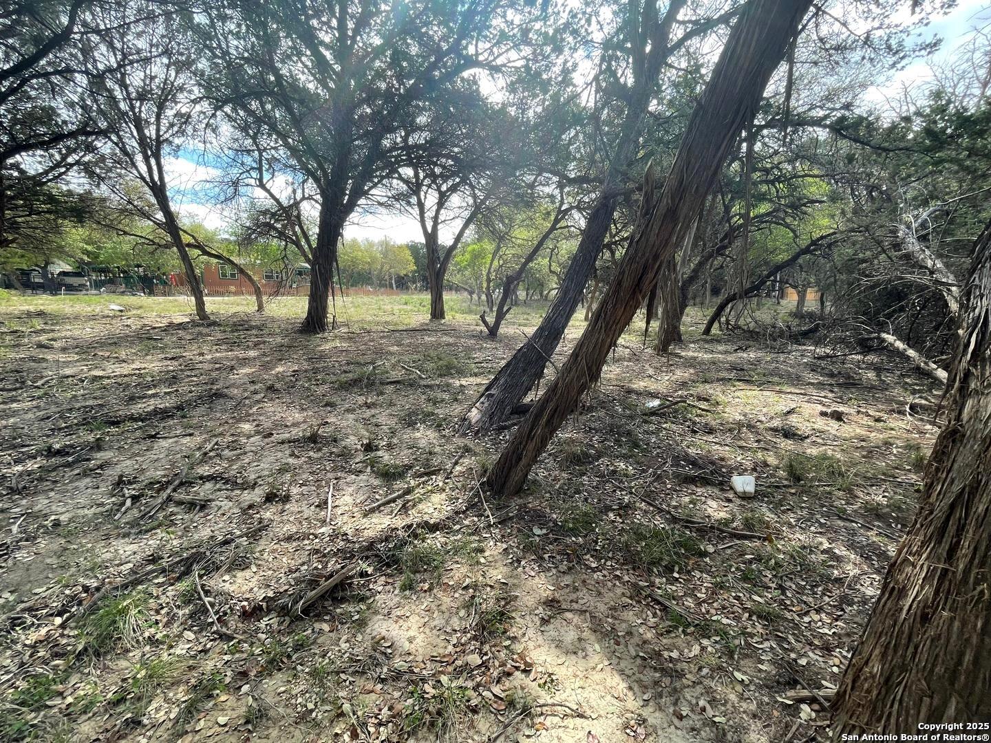 157 Hillside Road Bandera, TX 78003 - Photo 12 of 27 a view of trees with yard