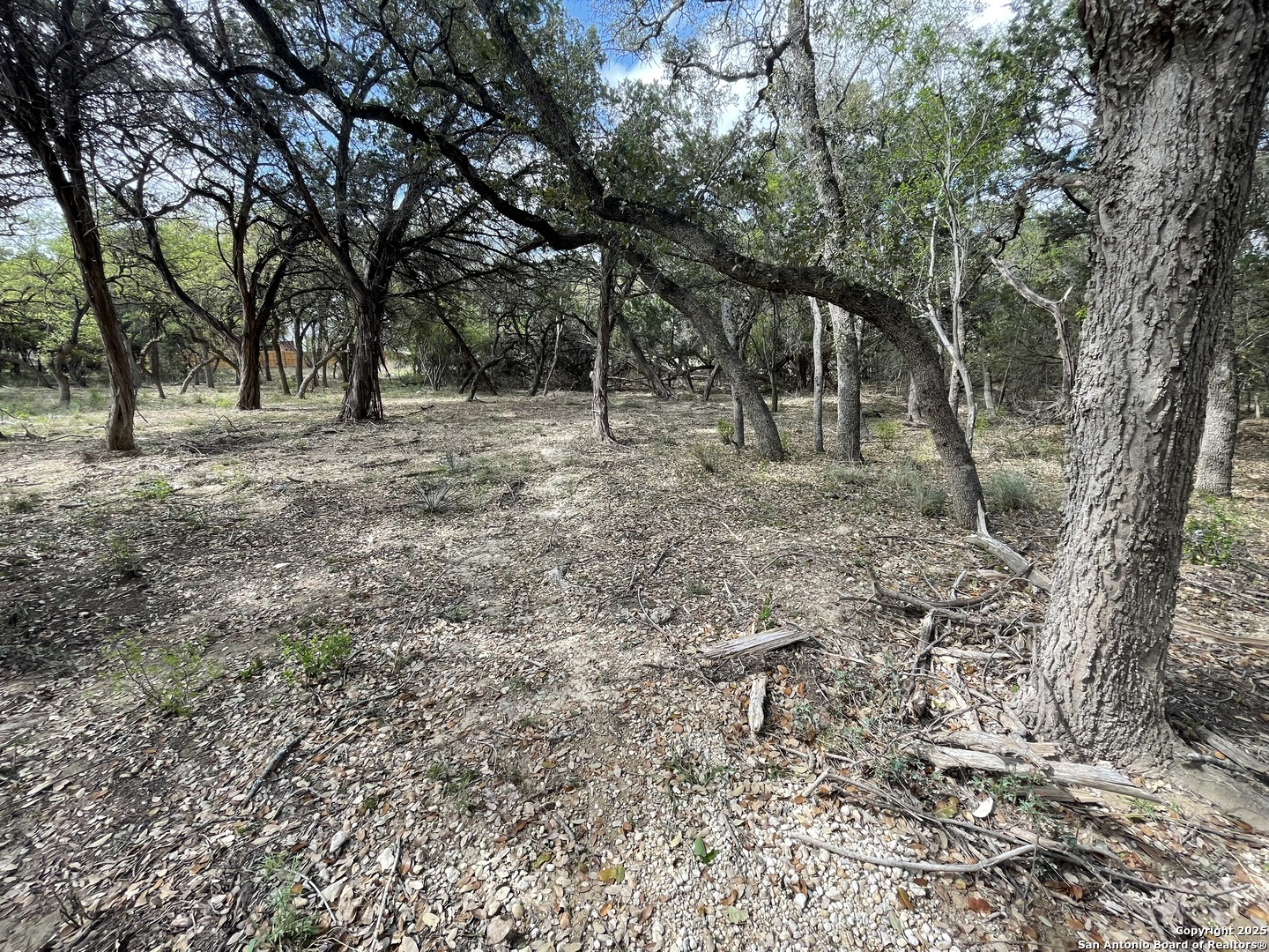 157 Hillside Road Bandera, TX 78003 - Photo 13 of 27 a view of a forest with trees in the background
