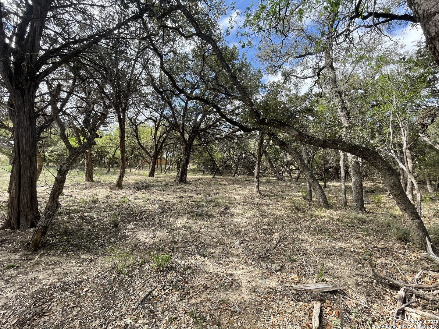157 Hillside Road Bandera, TX 78003 - Photo 14 of 27 a view of outdoor space with trees