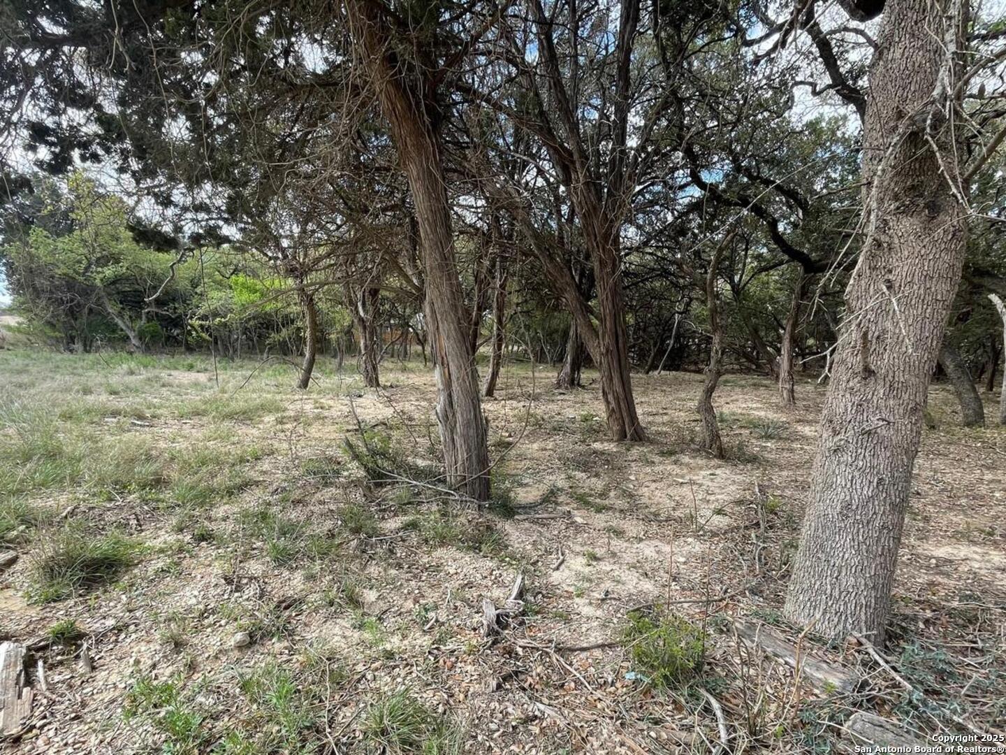 157 Hillside Road Bandera, TX 78003 - Photo 15 of 27 a view of outdoor space with trees