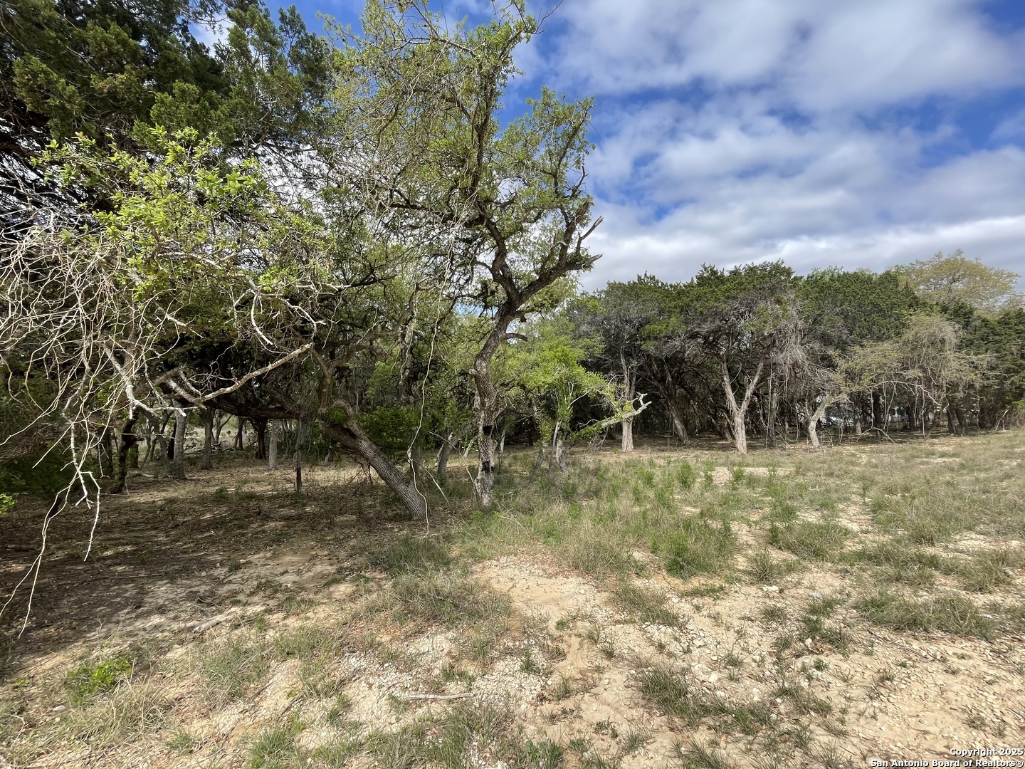 157 Hillside Road Bandera, TX 78003 - Photo 19 of 27 a view of a yard with a tree