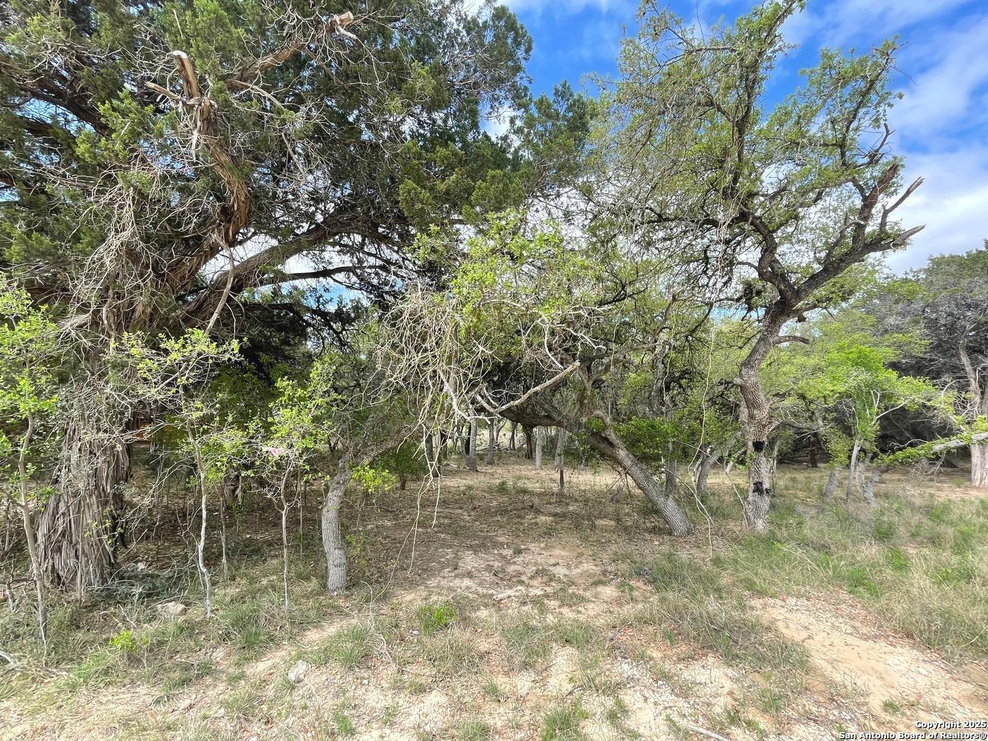 157 Hillside Road Bandera, TX 78003 - Photo 20 of 27 a view of a forest