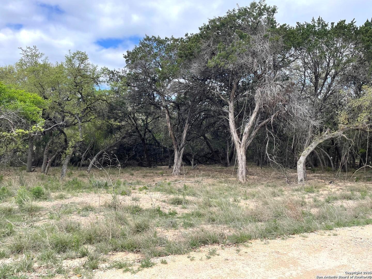 157 Hillside Road Bandera, TX 78003 - Photo 3 of 27 a view of backyard with green space