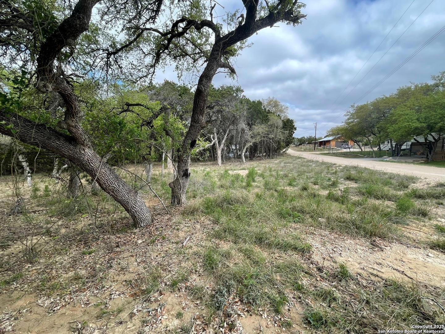 157 Hillside Road Bandera, TX 78003 - Photo 5 of 27 a big yard with lots of green space and plants