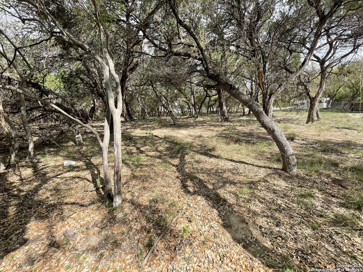 157 Hillside Road Bandera, TX 78003 - Photo 10 of 27 a view of yard covered with snow