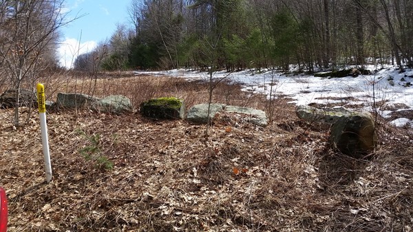 0 Sturbridge Road Holland, MA 01521 - Photo 5 of 6 Gallery Image 5