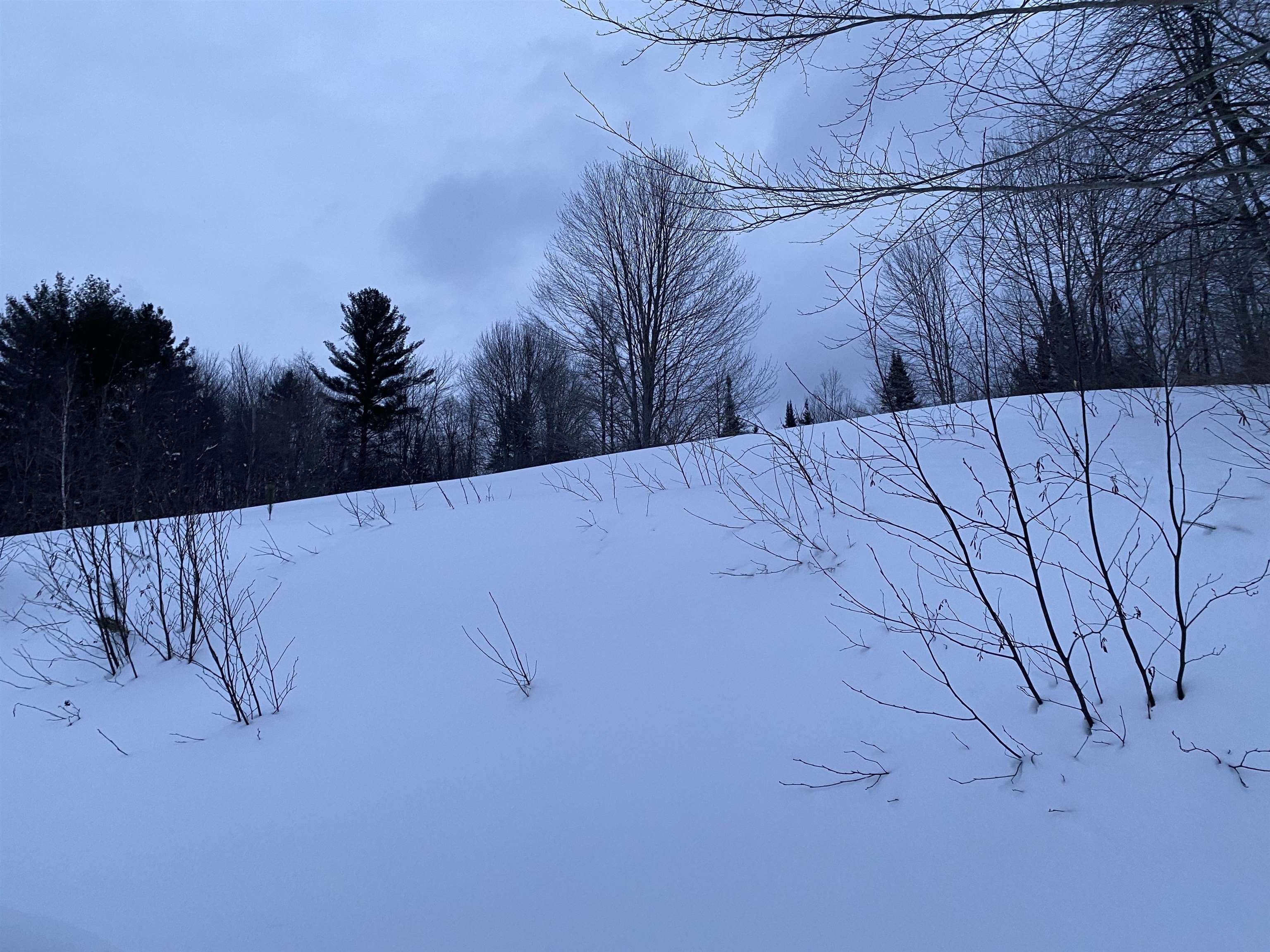 868 Blake Hill Road Woodbury, VT 05650 - Photo 35 of 37 Gallery Image 35