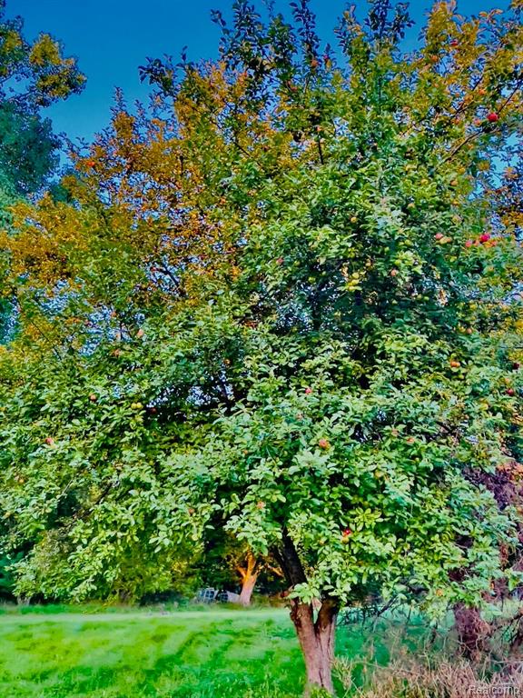 8086 Linden Road Fenton, MI 48430 - Photo 12 of 46 Gallery Image 12