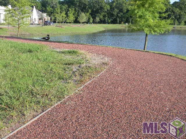 1550 Elm Row Lane Baton Rouge, LA 70810 - Photo 4 of 5 Walking trails located through out the community