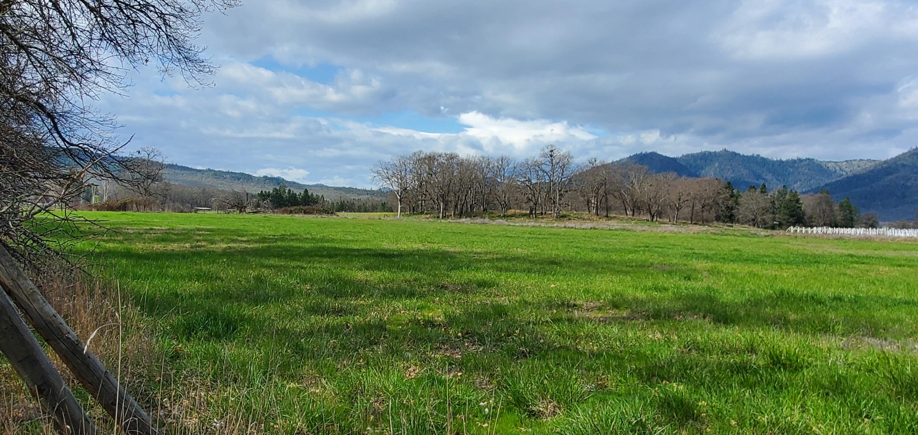 4221 Sams Valley Road Gold Hill, OR 97525 - Photo 19 of 31 20230417_105016