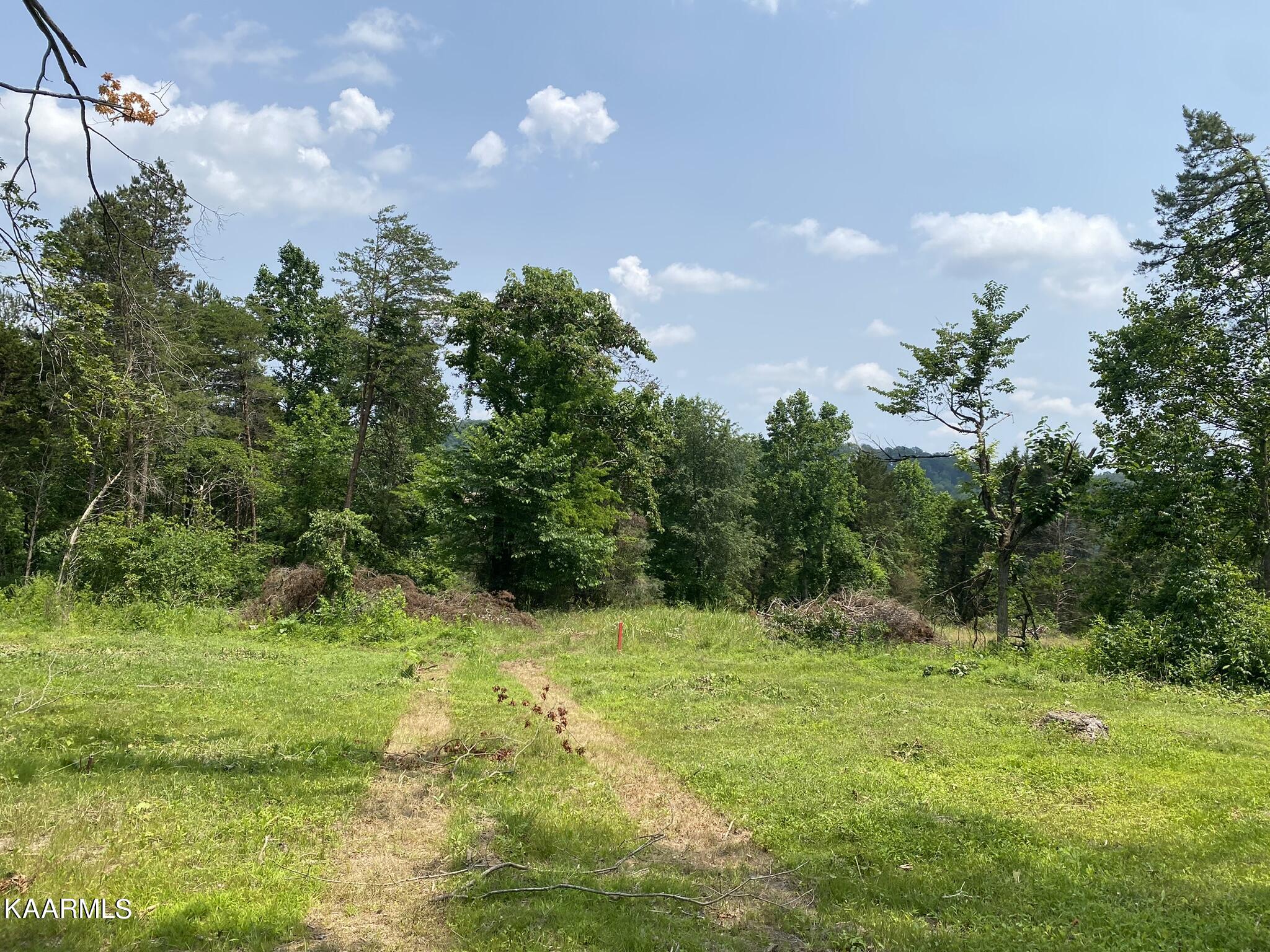 333 Hughes Hollow Road Philadelphia, TN 37846 - Photo 22 of 57 IMG_0007