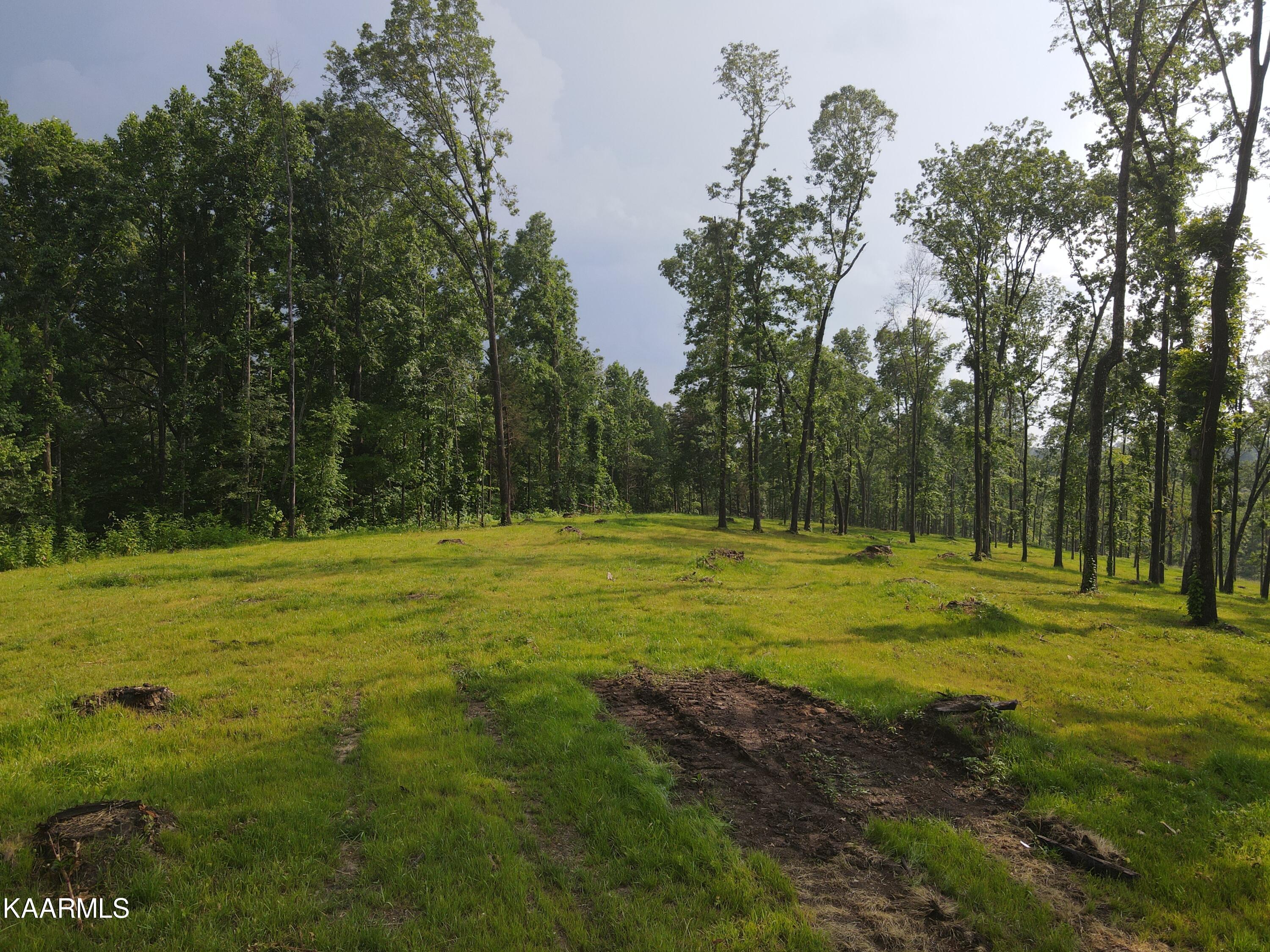 333 Hughes Hollow Road Philadelphia, TN 37846 - Photo 6 of 57 Build Site 1